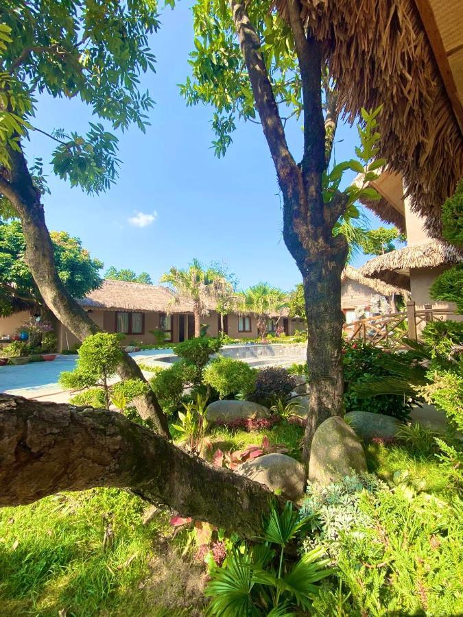 Lemon Tree Homestay Tam Coc Ninh Binh Esterno foto