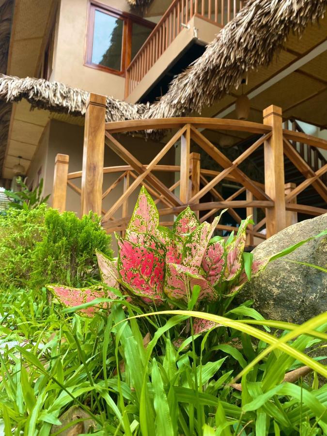 Lemon Tree Homestay Tam Coc Ninh Binh Esterno foto