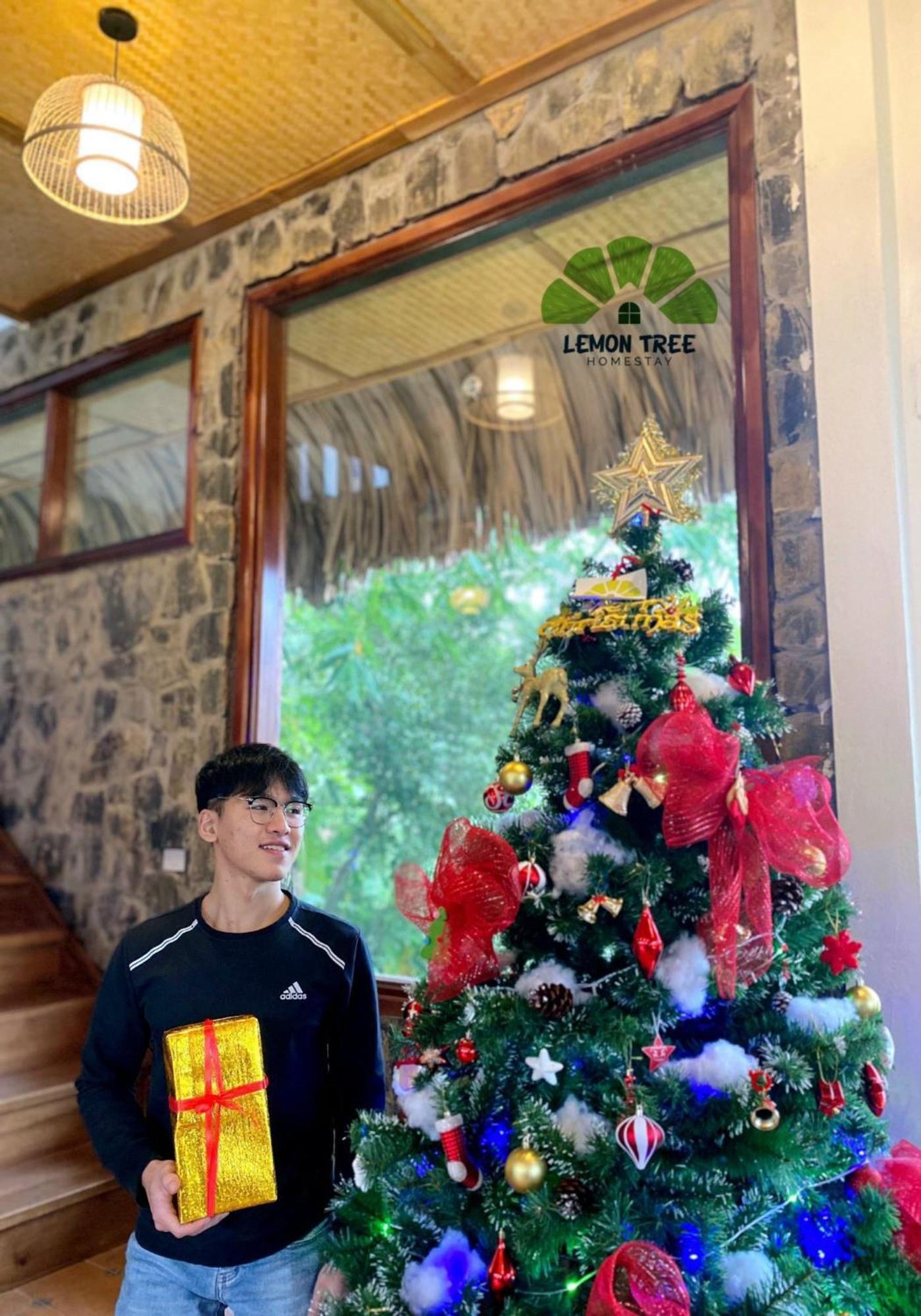 Lemon Tree Homestay Tam Coc Ninh Binh Esterno foto