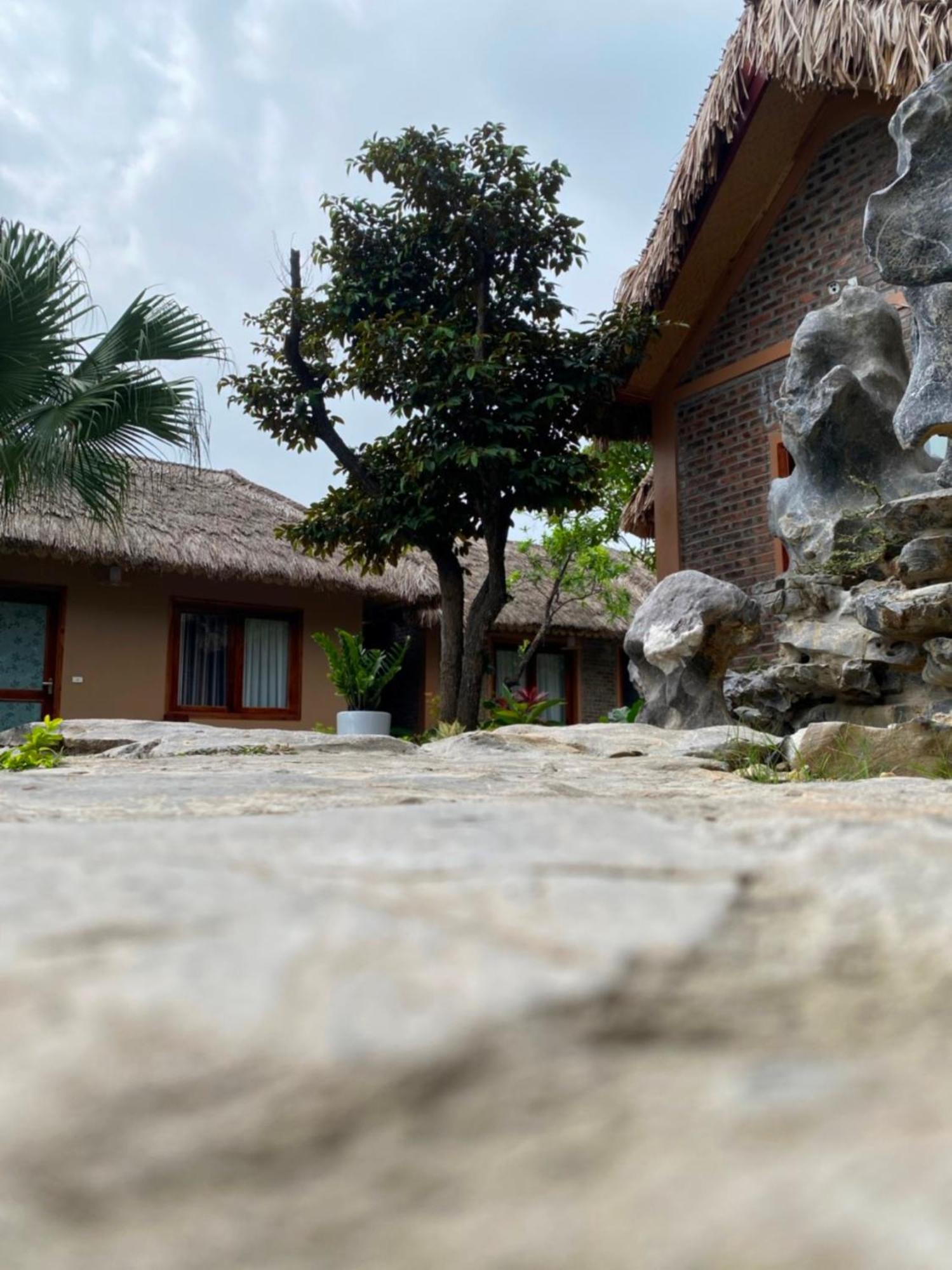 Lemon Tree Homestay Tam Coc Ninh Binh Esterno foto