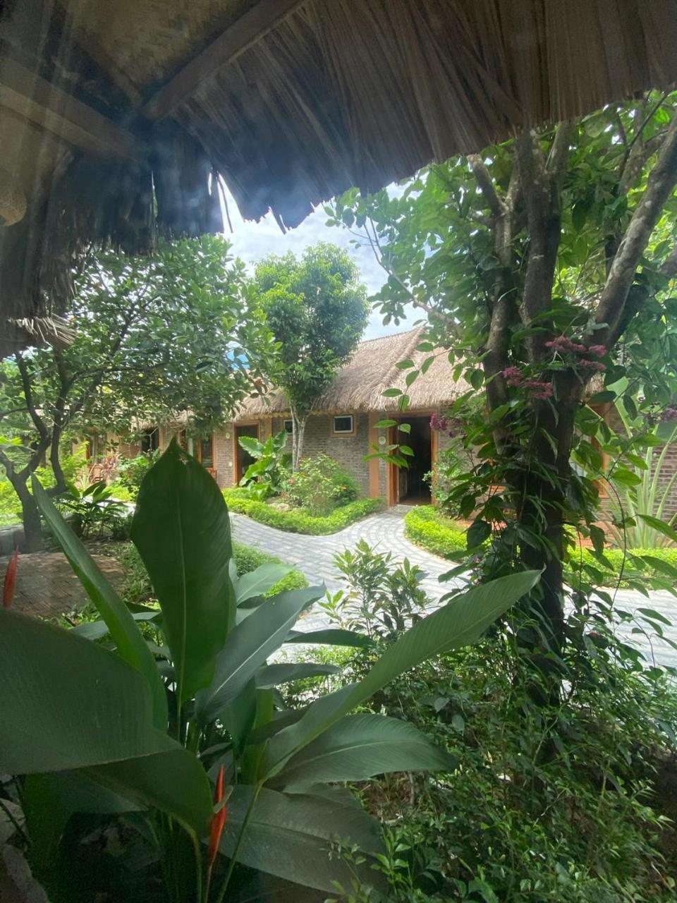 Lemon Tree Homestay Tam Coc Ninh Binh Esterno foto
